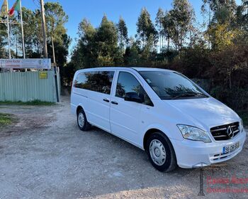 gallery image 002